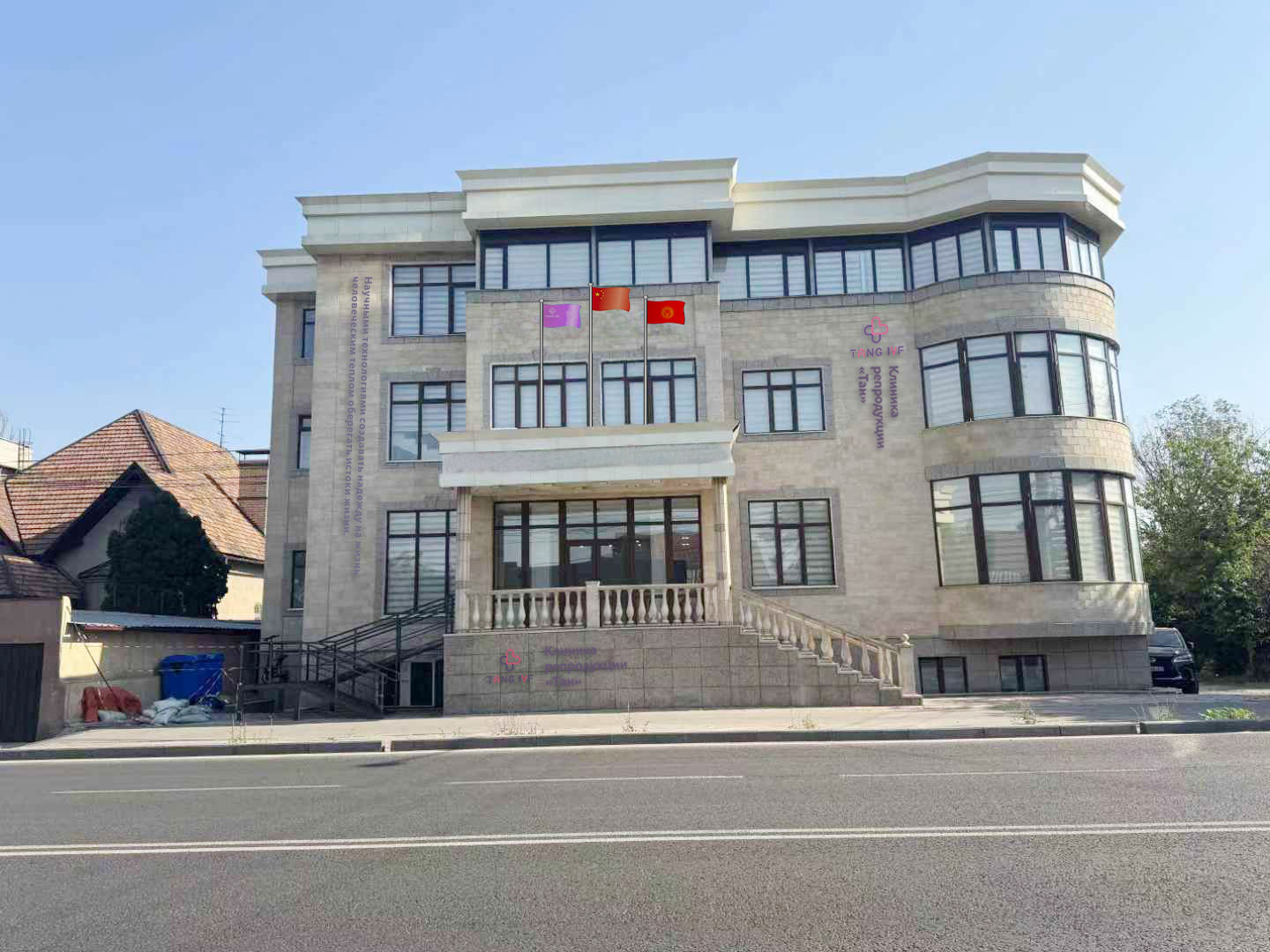 TANGIVF.jpg
